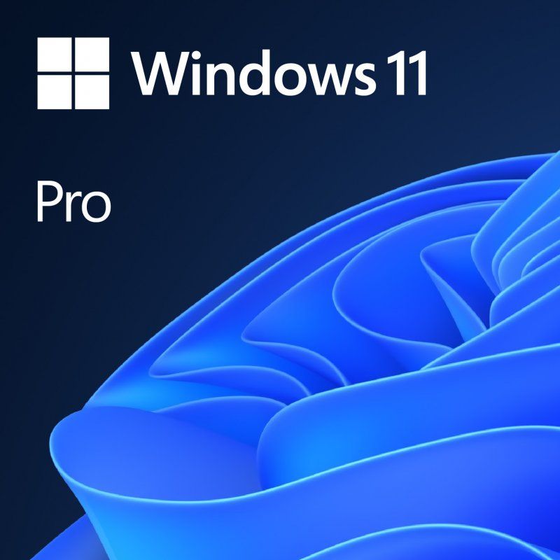 MS SB Windows 11 Pro 64bit [ES] DVD
