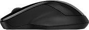 HP 250 Dual Mouse