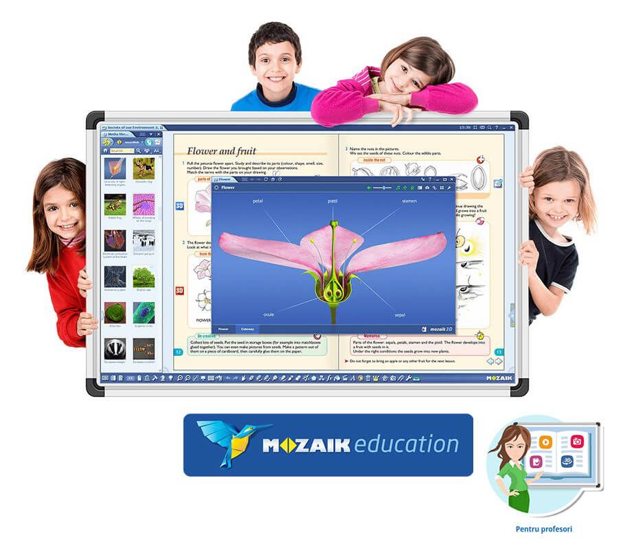 Software Mozaik Teacher MULTILANG , lectii interactive in timp real, licenta 1 / 3 ani