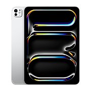 Apple 11-inch iPad Pro (M4) Cellular 2TB with Standard glass - Silver