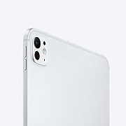 Apple 11-inch iPad Pro (M4) Cellular 2TB with Standard glass - Silver