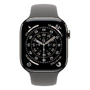 Apple Watch S11 Cellular 46mm Natural Titanium Case with Stone Grey Sport Band - M/L